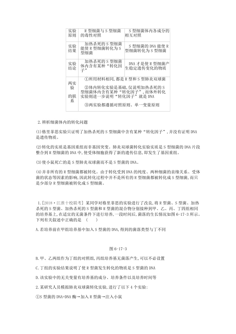 2019届高考生物一轮复习 第6单元 遗传的分子基础听课学案.doc_第3页