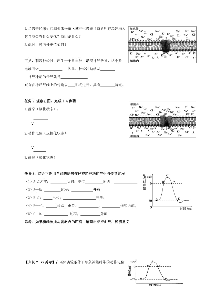 2019-2020年高中生物 2.2 神经系统的结构与功能学案浙教版必修3.doc_第2页