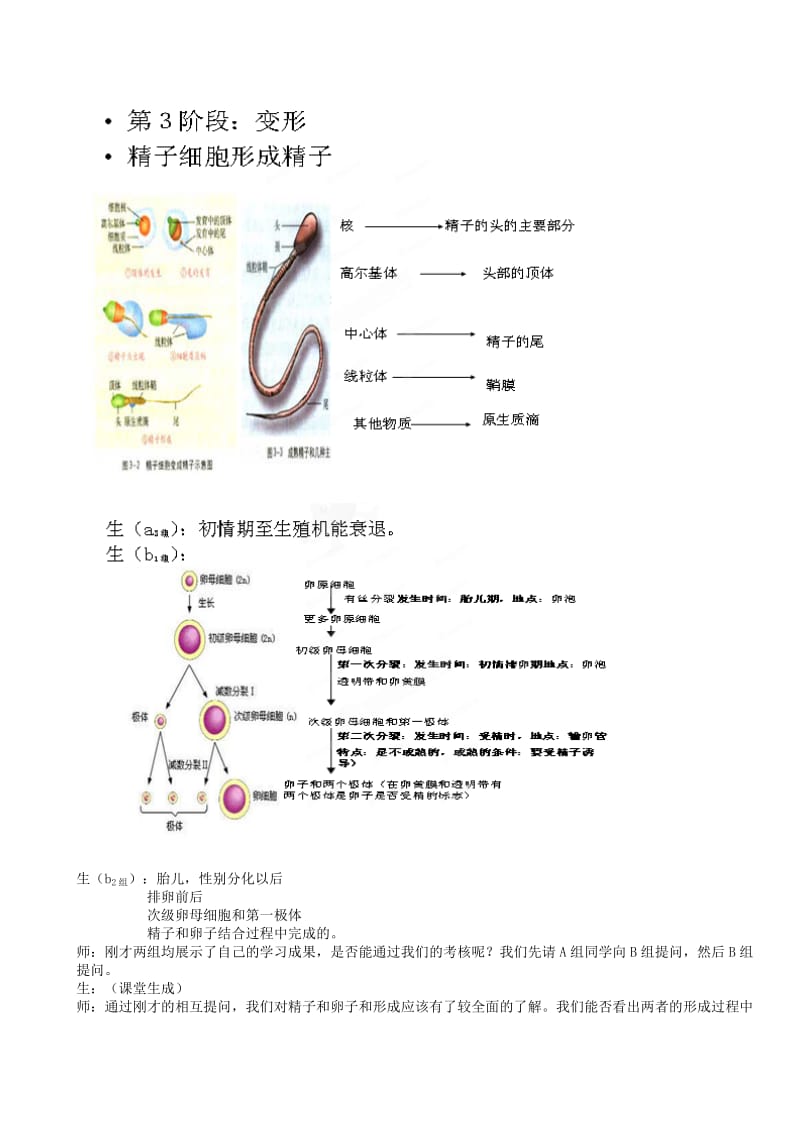 2019-2020年高二生物《体内受精和早期胚胎发育》教案 新人教版.doc_第3页