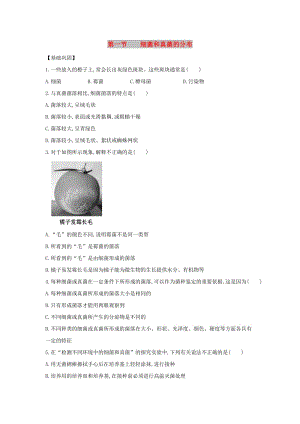 八年級生物上冊 5.4.1《細(xì)菌和真菌的分布》同步練習(xí)3 （新版）新人教版.doc