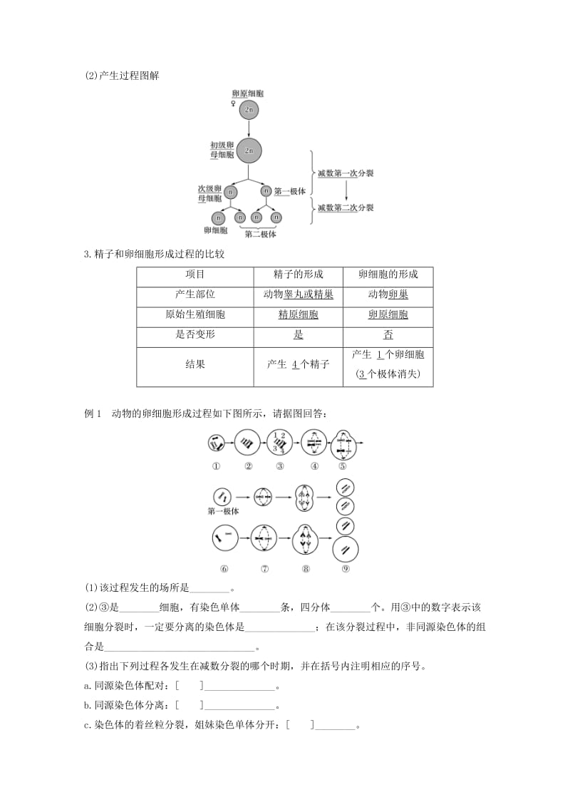 2018-2019学年高中生物 第二章 染色体与遗传 第一节 减数分裂中的染色体行为（Ⅱ）学案 浙科版必修2.doc_第2页