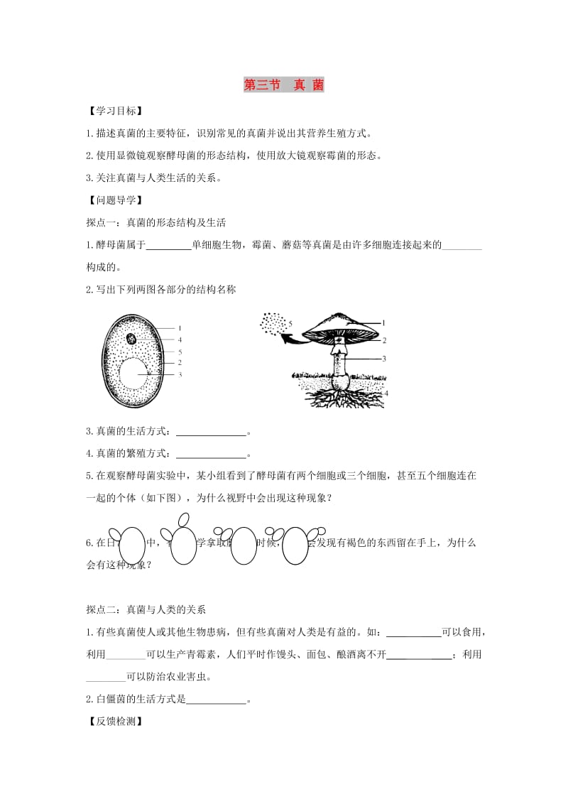 七年级生物上册 2.3.3《真菌》导学案1（新版）济南版.doc_第1页