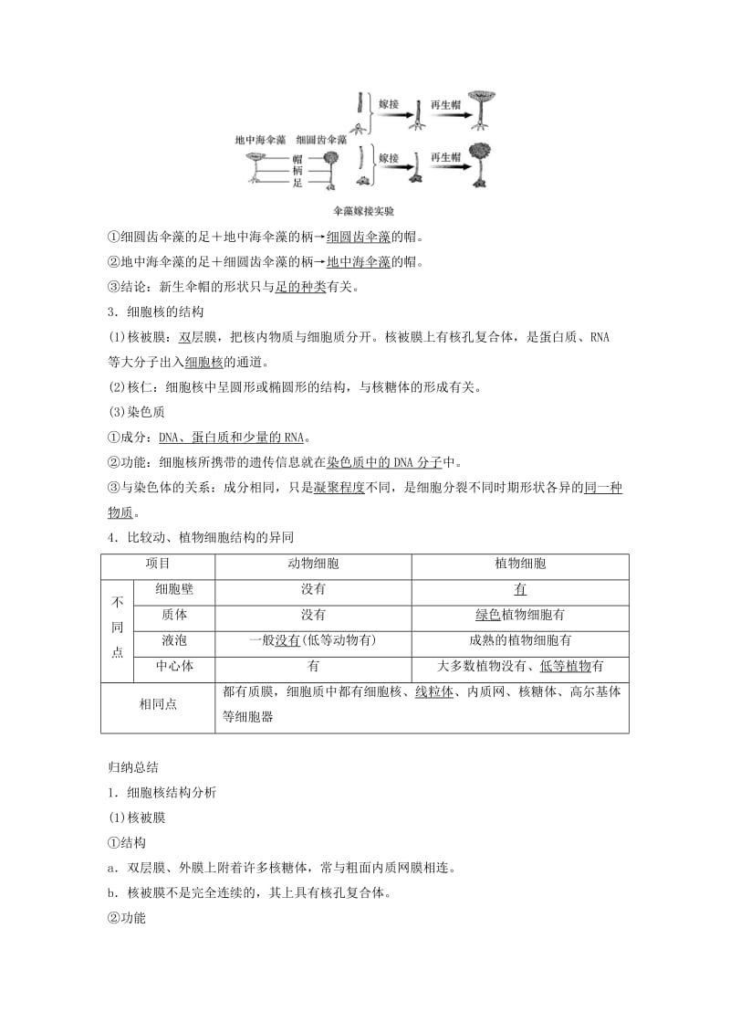 2018-2019版高中生物 第二章 细胞的结构 第四节 细胞核 第五节 原核细胞学案 浙科版必修1.doc_第2页