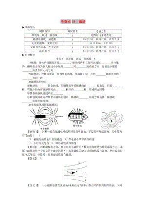 2019高考物理總復習 考查點19 磁場考點解讀學案.doc