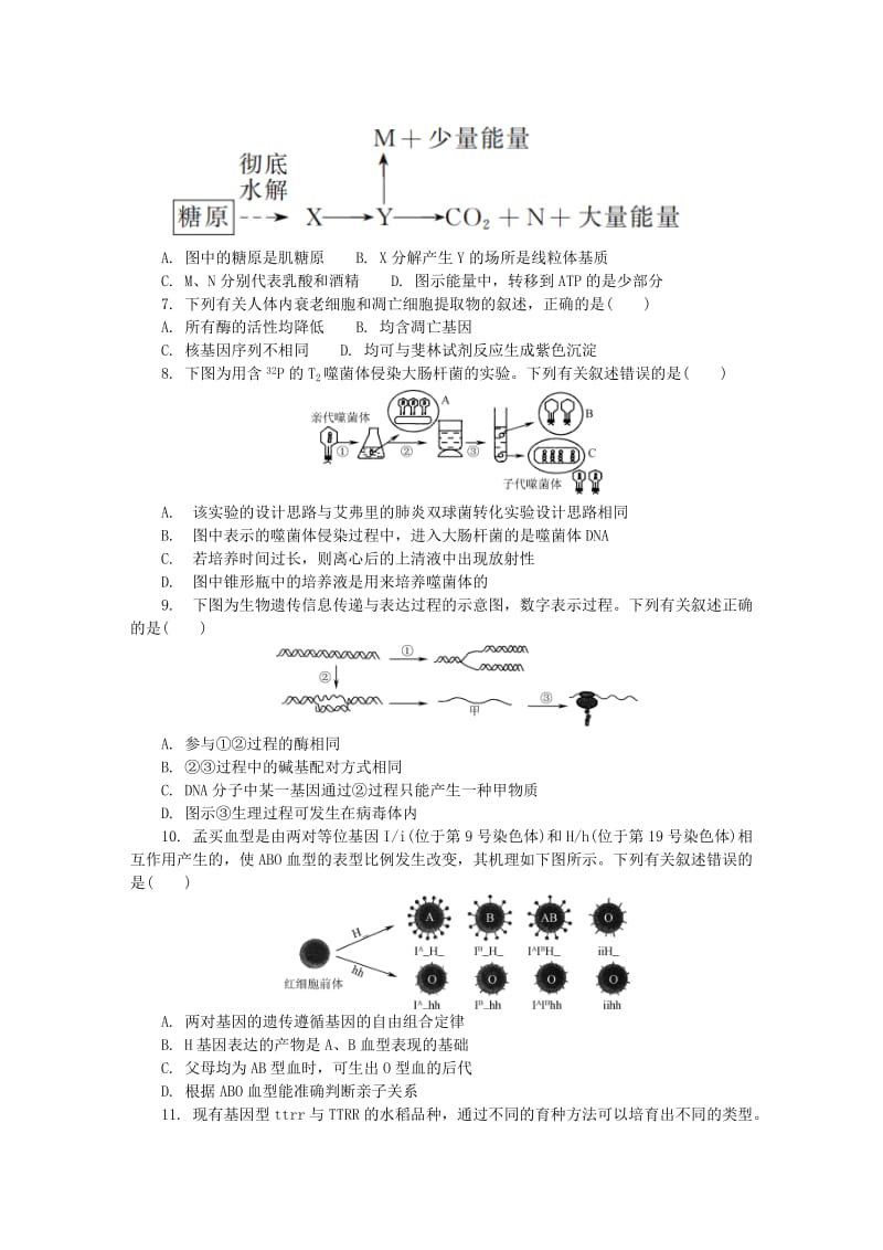 江苏省盐城市2019届高三生物第四次模拟考试试题.doc_第2页