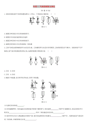 河北省2019年中考化學復習 主題一 身邊的化學物質(zhì) 專項（一）氣體的制取與凈化練習.doc