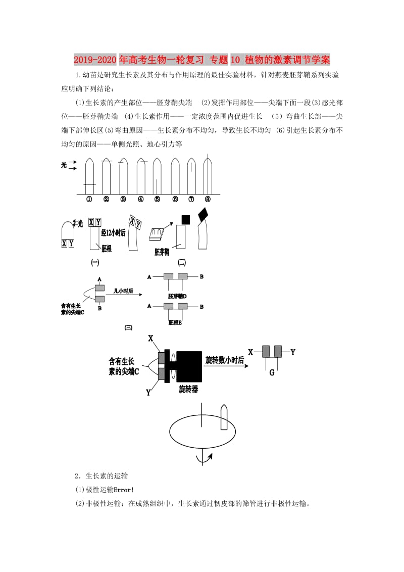 2019-2020年高考生物一轮复习 专题10 植物的激素调节学案.doc_第1页