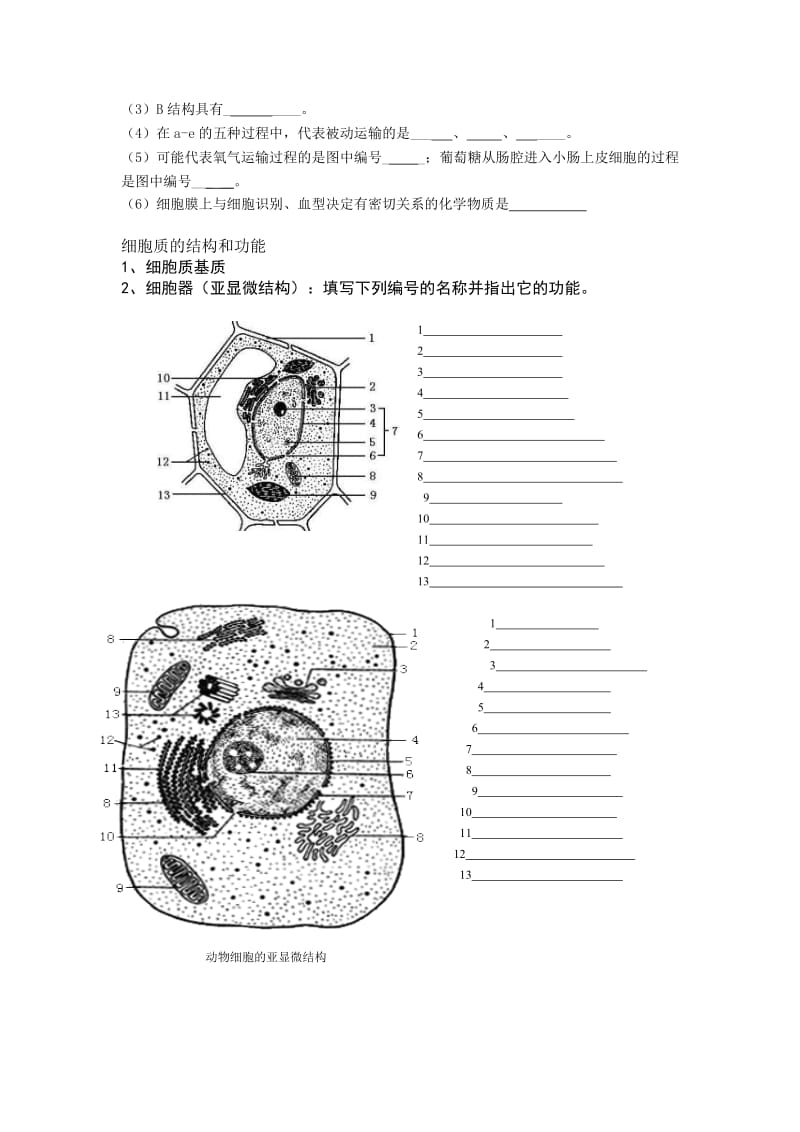 2019-2020年高中生命科学第一册第三章《生命的结构基础》word教案.doc_第2页