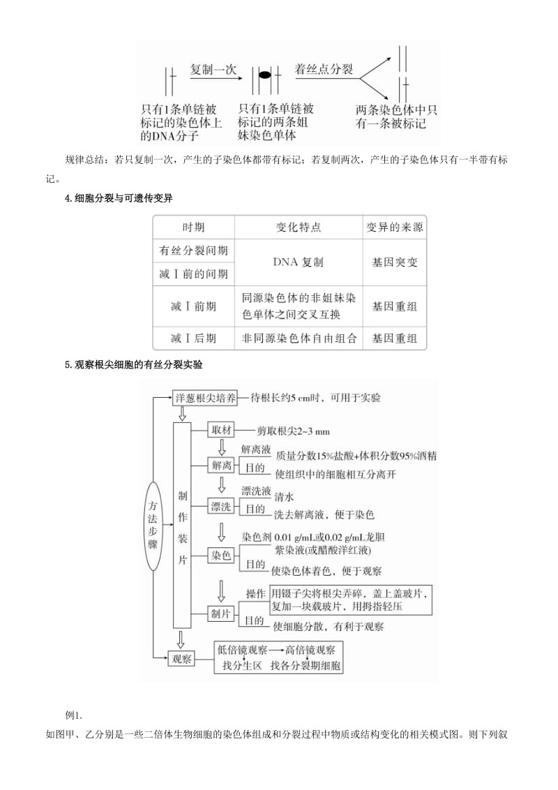 2019届高考生物二轮复习 专题5 细胞的生命历程学案.docx_第3页