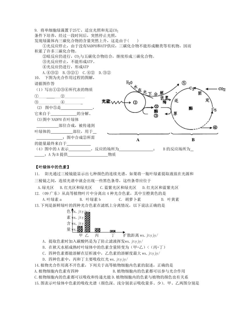 2019-2020年高中生物 第三章 第五节 光合作用学案 浙科版必修1.doc_第3页