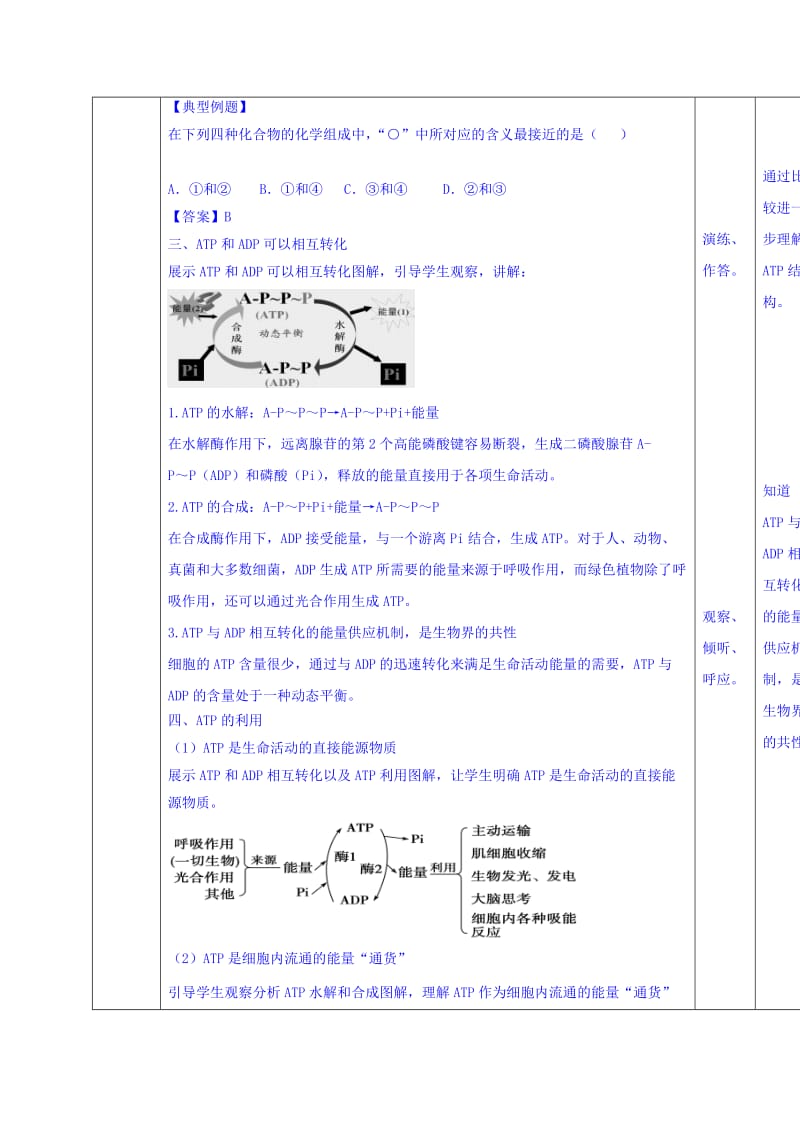 2019-2020年人教版高中生物必修1 第5章第2节细胞的能量“通货”—ATP 教案.doc_第3页