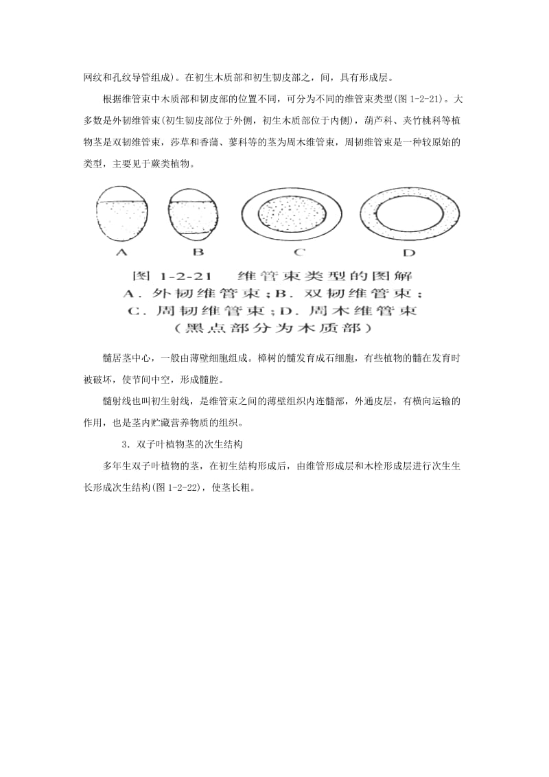 2019-2020年高中生物 第五章 细胞的能量供应和利用 5.4 捕获光能的色素和结构 茎教案 新人教版必修1.doc_第3页