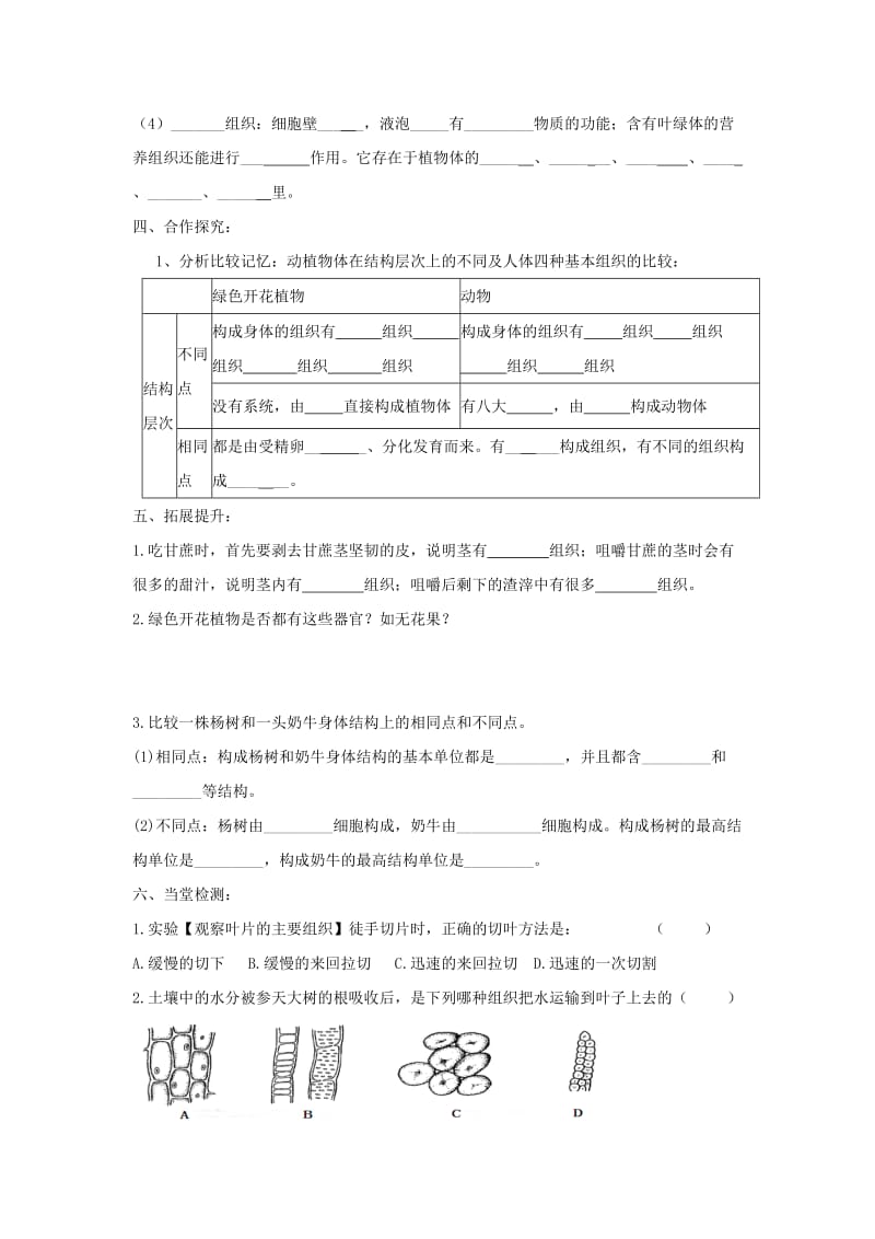 七年级生物上册 2.2.3《植物体的结构层次》导学案1（新版）新人教版.doc_第2页