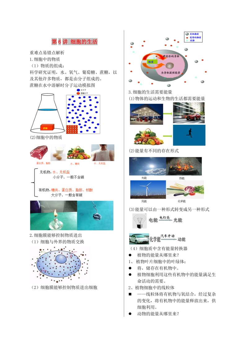 江苏省大丰市七年级生物上册 第6讲 细胞的生活讲义 苏教版.doc_第1页