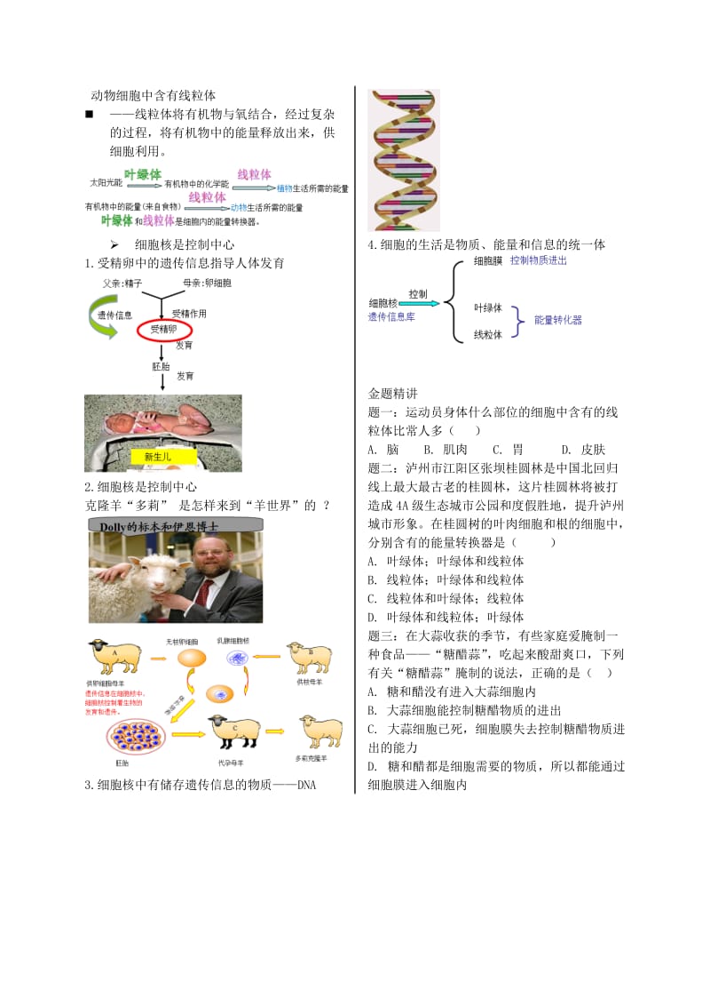 江苏省大丰市七年级生物上册 第6讲 细胞的生活讲义 苏教版.doc_第2页