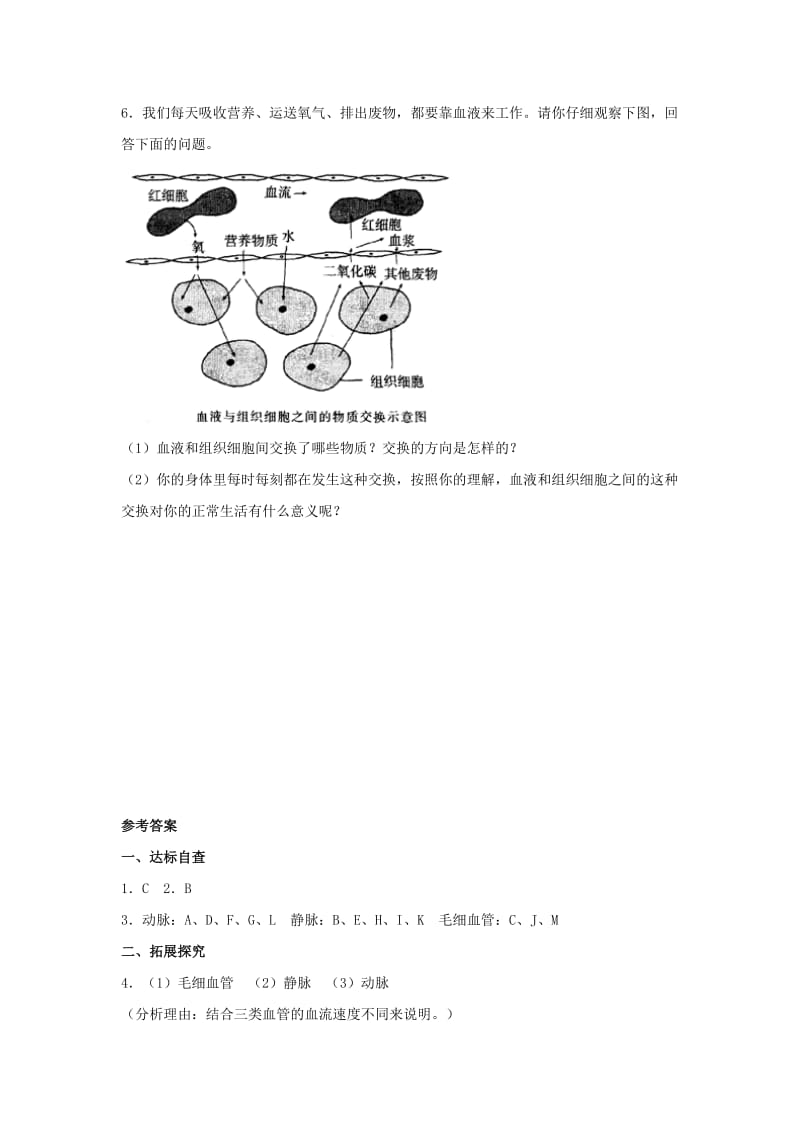 七年级生物下册 4.4.2《血流的管道-血管》同步练习 （新版）新人教版.doc_第2页