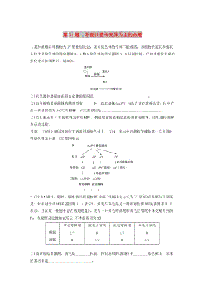 （浙江选考）2019版高考生物二轮专题复习 必考非选择题综合应用练 第31题 考查以遗传变异为主的命题.doc