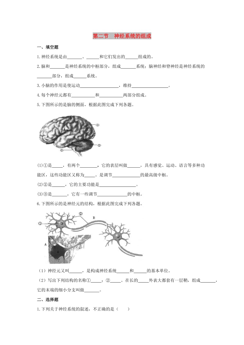 七年级生物下册 4.6.2《神经系统的组成》同步练习 （新版）新人教版.doc_第1页