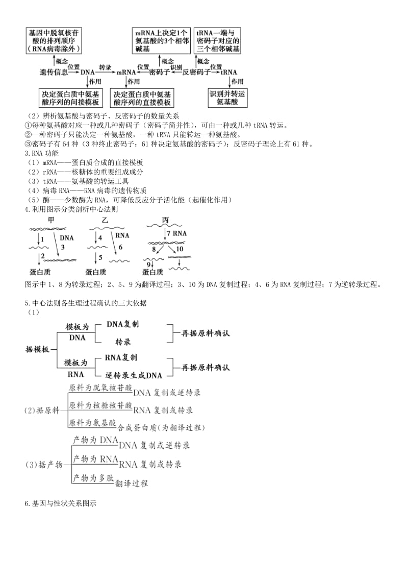 2019-2020年高三生物一轮复习 第十九讲 基因指导蛋白质的合成及基因与性状的关系学案.doc_第3页