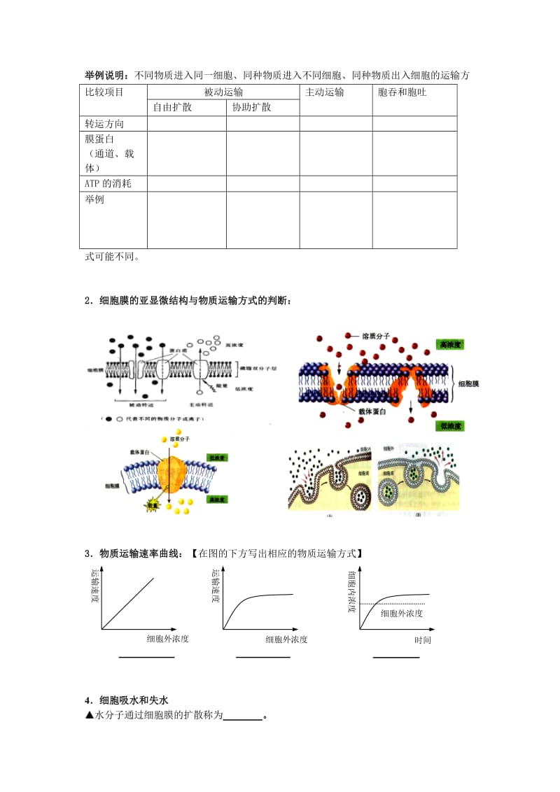 2019-2020年沪科版生命科学高一上第3章《生命的结构基础》学案2.doc_第2页