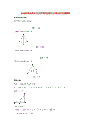 2019版中考數(shù)學(xué) 三角形分類(lèi)訓(xùn)練三 全等三角形 魯教版.doc