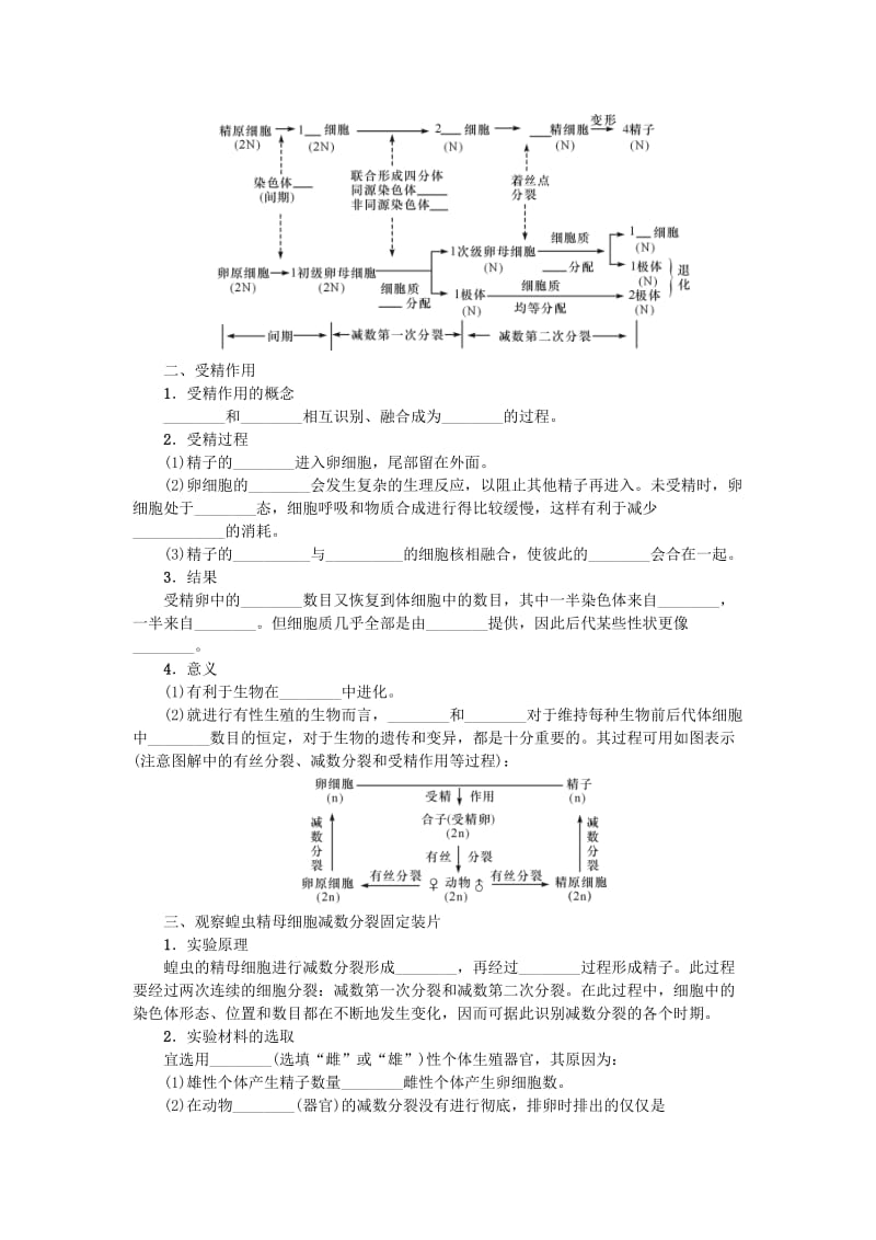 （江苏专用）2019年高考生物一轮总复习 第4单元 细胞的生命历程 第2讲 细胞的增殖2学案.doc_第2页