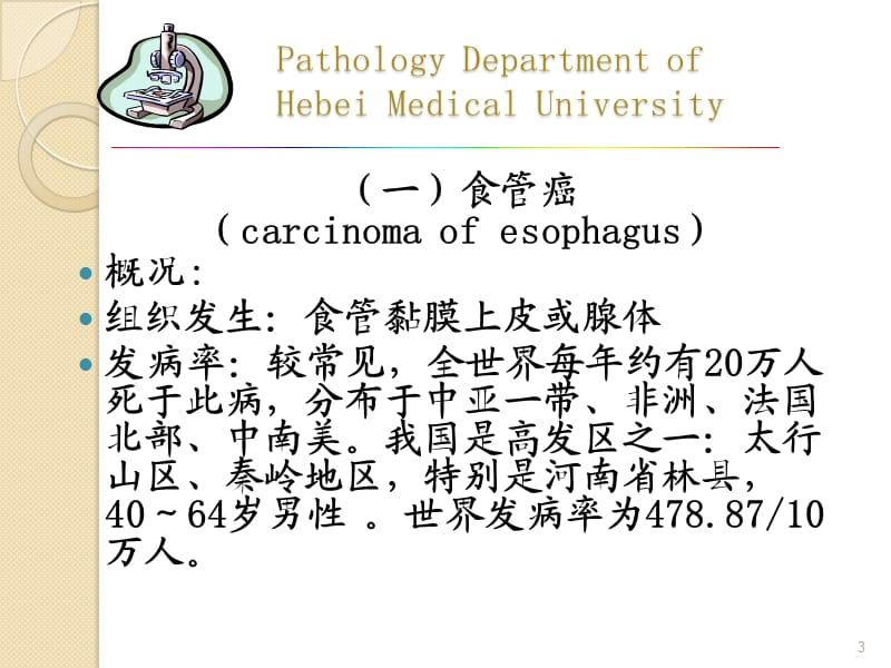 消化系统常见肿瘤ppt课件_第3页