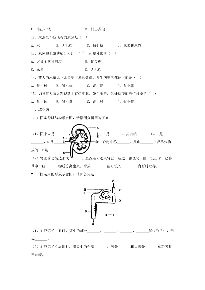 八年级生物上册 6.15.2《人体内废物的排出》同步练习 （新版）苏科版.doc_第2页