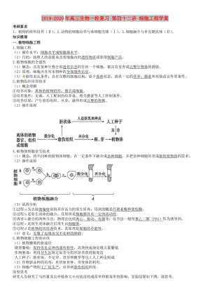 2019-2020年高三生物一輪復(fù)習(xí) 第四十二講 細(xì)胞工程學(xué)案.doc