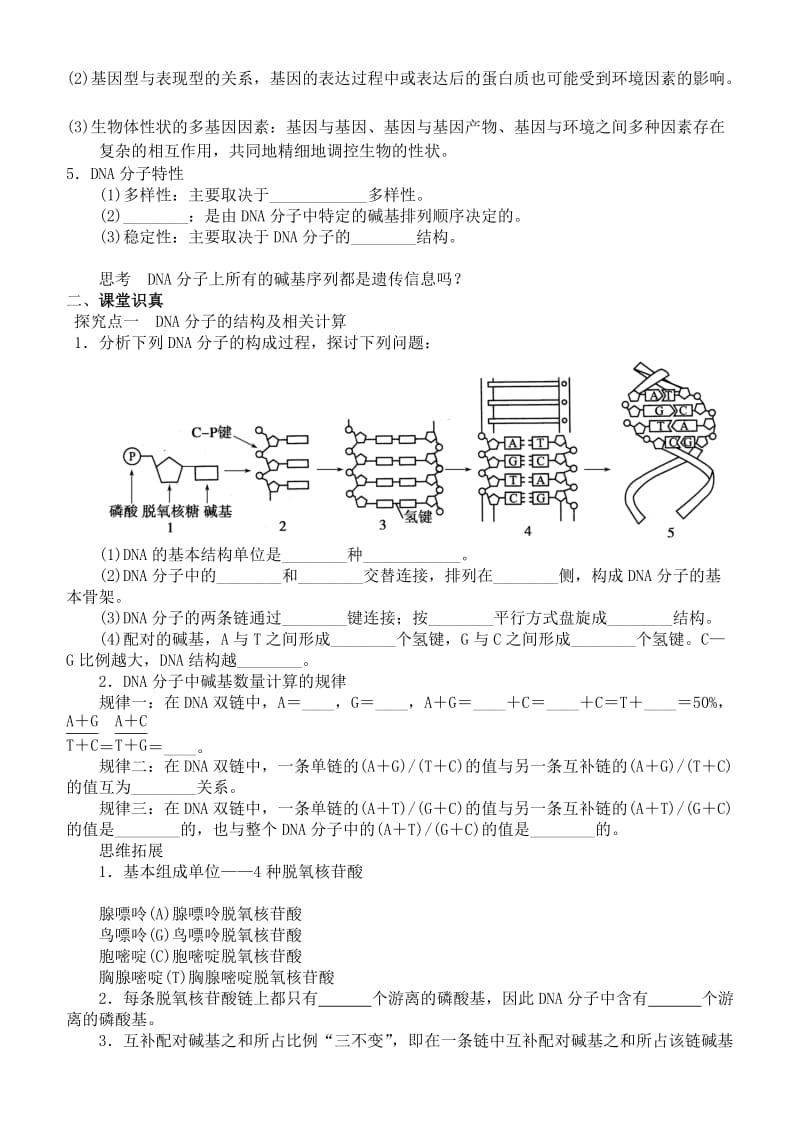 2019-2020年高中生物《DNA的结构、复制及基因的本质》导学案 苏教版必修2.doc_第2页