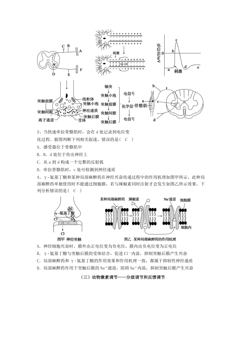 2019-2020年高三生物二轮复习 专题五 生命活动的调节教案.doc_第3页