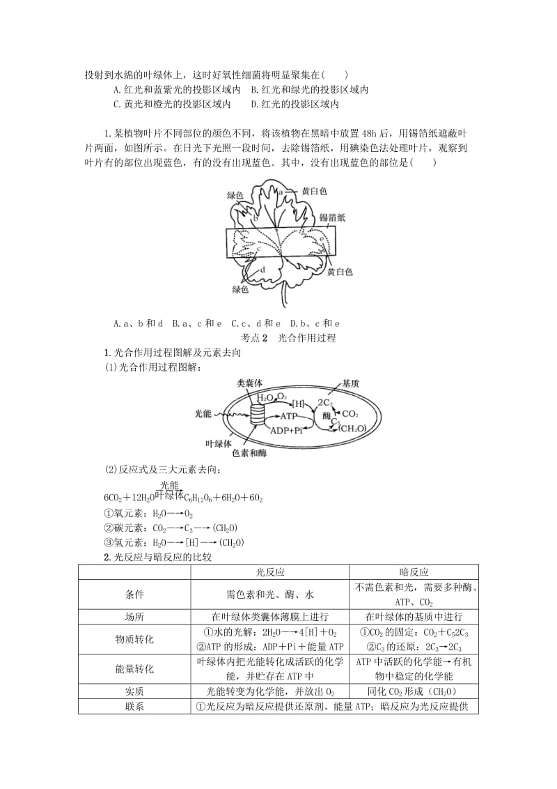 （江苏专用）2019年高考生物一轮总复习 第3单元 细胞的代谢 第2讲 光合作用学案.doc_第3页