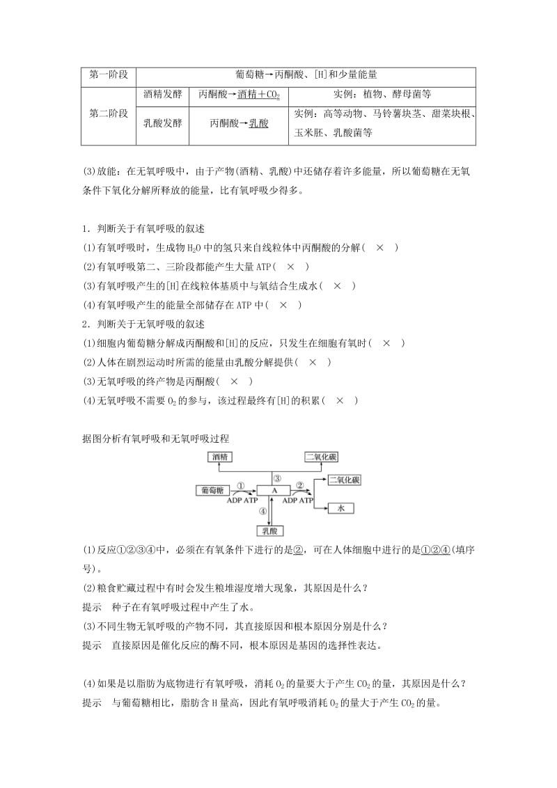 2020版高考生物新导学大一轮复习 第三单元 细胞的能量代谢 第8讲 细胞呼吸讲义（含解析）北师大版.docx_第2页