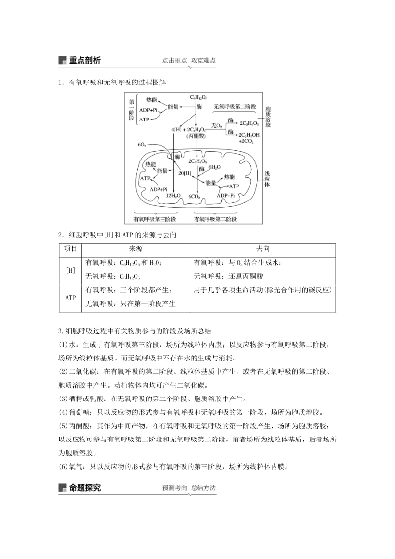 2020版高考生物新导学大一轮复习 第三单元 细胞的能量代谢 第8讲 细胞呼吸讲义（含解析）北师大版.docx_第3页