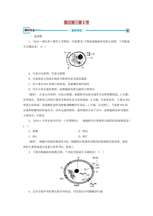 2019版高中生物 第三章 細胞的基本結(jié)構(gòu) 第3節(jié) 細胞核——系統(tǒng)的控制中心課時作業(yè) 新人教版必修1.doc