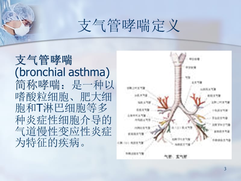 小讲课支气管哮喘的护理ppt课件_第3页