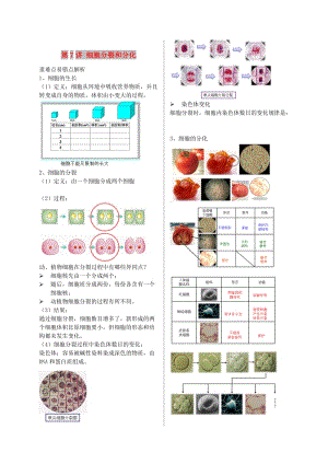 江蘇省大豐市七年級生物上冊 第7講 細(xì)胞分裂和分化講義 蘇教版.doc
