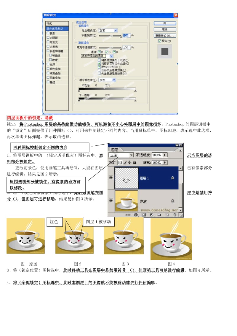 2019-2020年高中信息技术基础 图层的概念（photoshop和flash都使用图层）讲义.doc_第3页