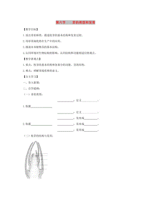 八年級生物上冊 4.1.6《芽的類型和發(fā)育》導學案（新版）濟南版.doc