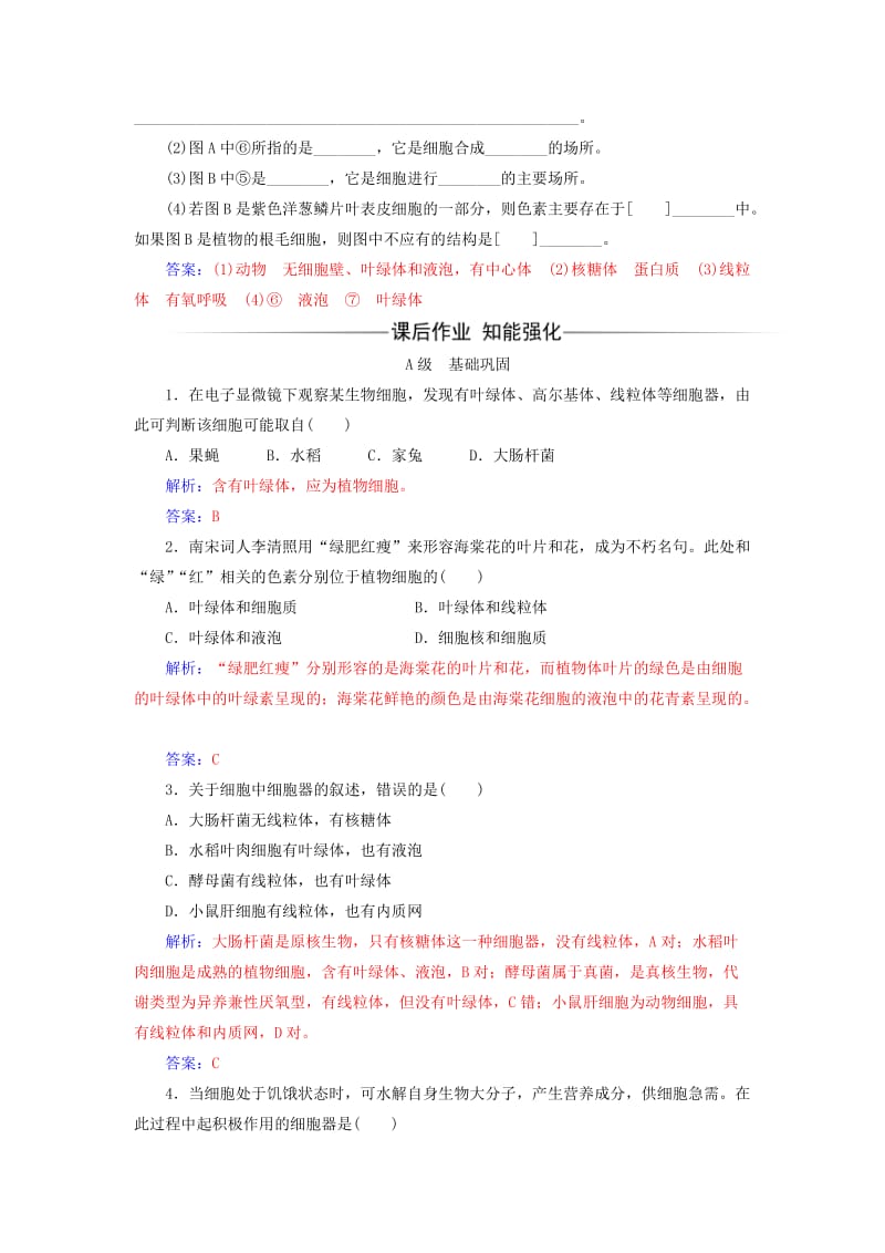 2019-2020年高中生物第3章细胞的基本结构第2节细胞器之间的分工第1课时练习新人教版必修.doc_第2页