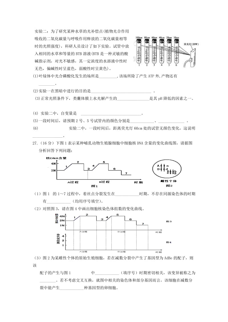 2019-2020年高三生物 综合模拟题（6） 理.doc_第3页