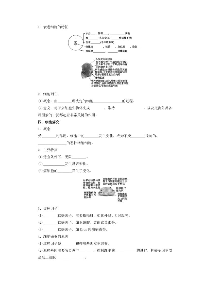 2019-2020年高三生物一轮复习 细胞的分化学案.doc_第2页