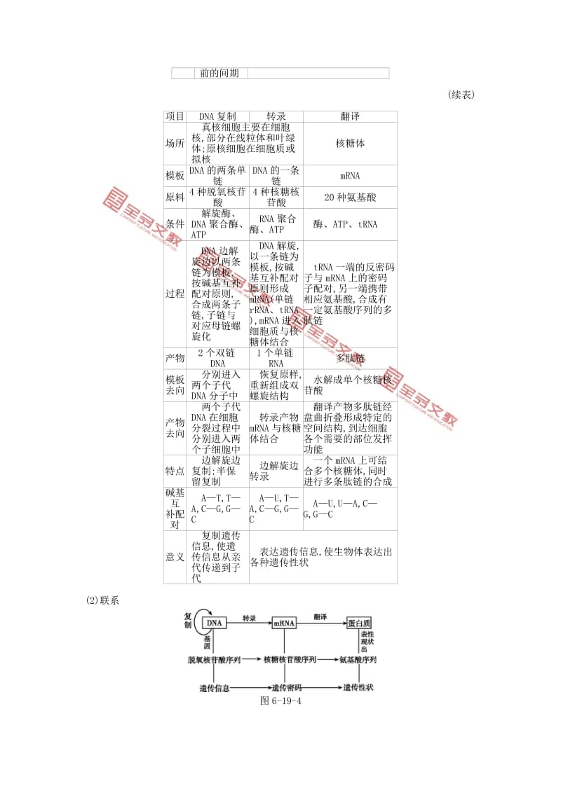 2019版高考生物一轮复习 第6单元 遗传的分子基础 第19讲 基因的表达学案 苏教版.doc_第3页