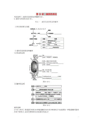 2019版高考生物一輪復(fù)習(xí) 第6單元 遺傳的分子基礎(chǔ) 第19講 基因的表達(dá)學(xué)案 蘇教版.doc