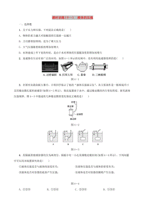 中考物理 第04課時(shí) 液體的壓強(qiáng)課時(shí)訓(xùn)練.doc