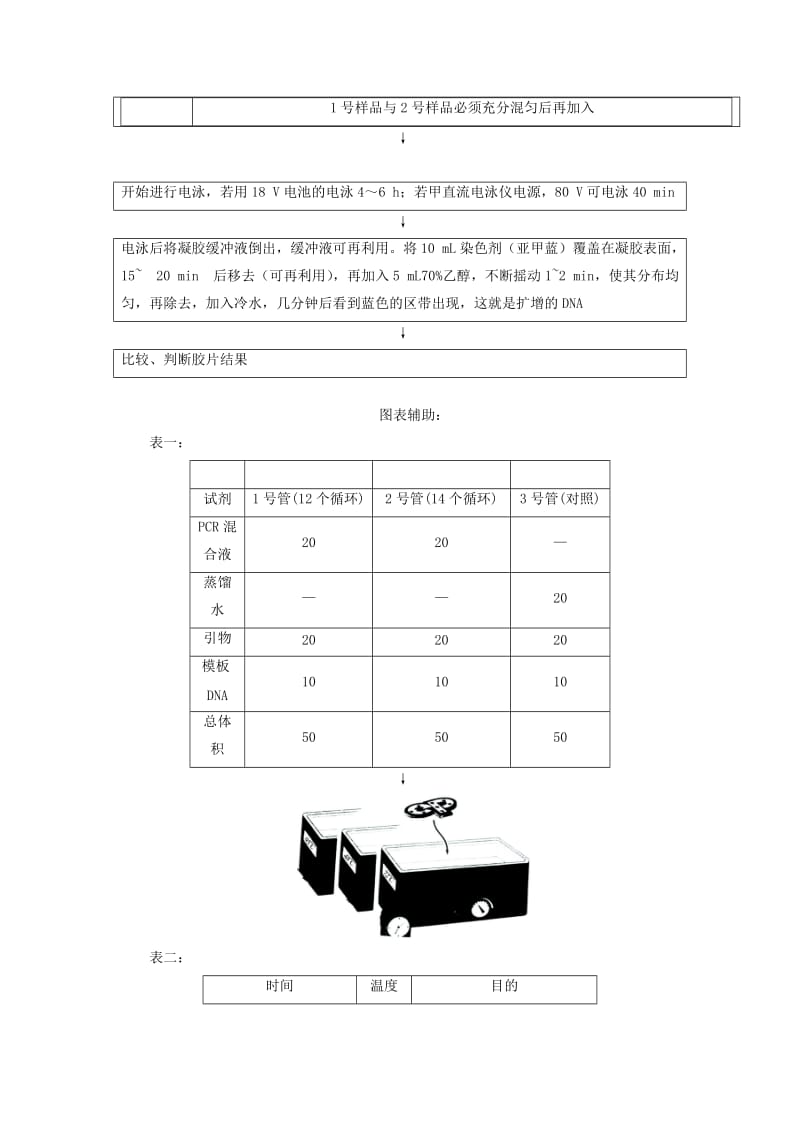 2019-2020年高中生物第四部分浅尝现代生物技术实验13DNA片段的PCR扩增学案浙科版选修.doc_第3页