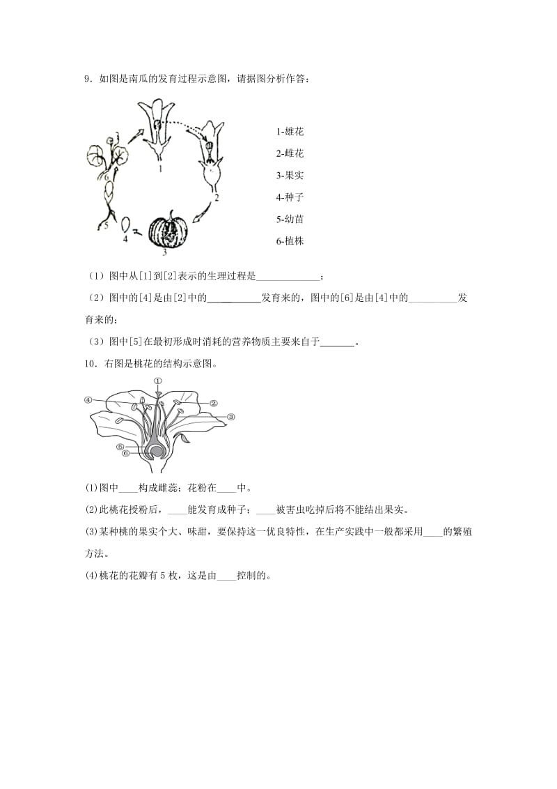 七年级生物上册 3.2.3《开花和结果》同步练习1 （新版）新人教版.doc_第2页