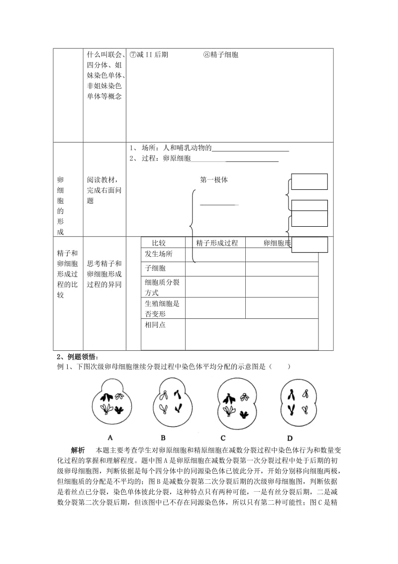 2019-2020年高中生物《减数分裂》学案4 苏教版必修2.doc_第2页