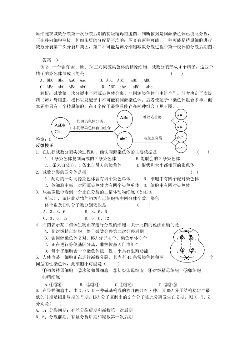 2019-2020年高中生物《减数分裂》学案4 苏教版必修2.doc_第3页