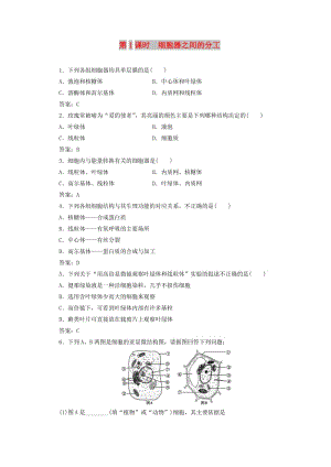 2018秋高中生物 第三章 細(xì)胞的基本結(jié)構(gòu) 第2節(jié) 第1課時(shí) 細(xì)胞器之間的分工檢測 新人教版必修1.doc